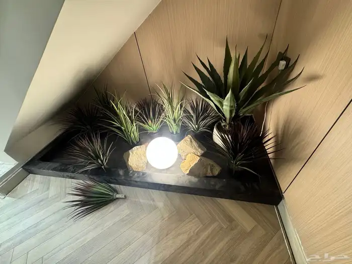 قس م تكورات تحت درج 1