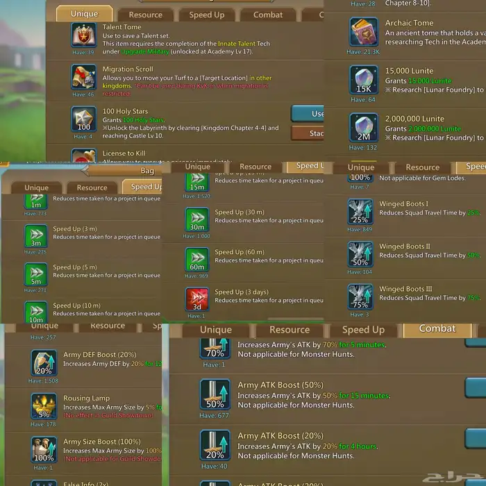 قائد حشد لوردس موبايل(انباع) 1