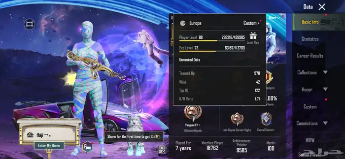 PUBG Accounts For Sale 10