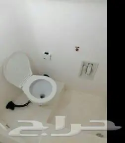 رحلات بحريه ورحلات جزيره بياضه شباب وعوائل مرسي الاحلام 2