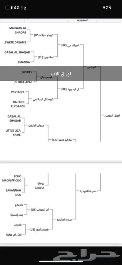 مهرة واهو حفيدة اميرالدجي 4
