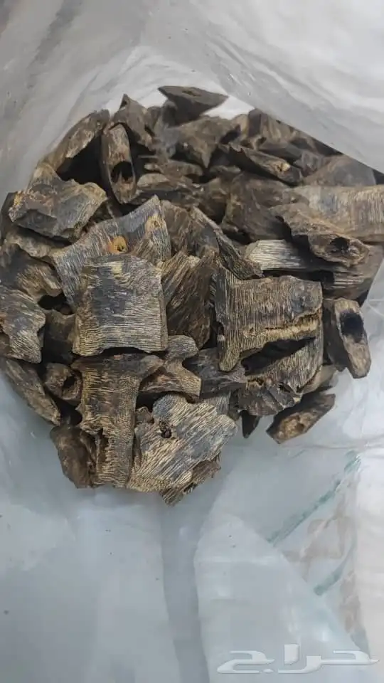 عود طبيعي بسعر اقتصادي وجودة مميز 6