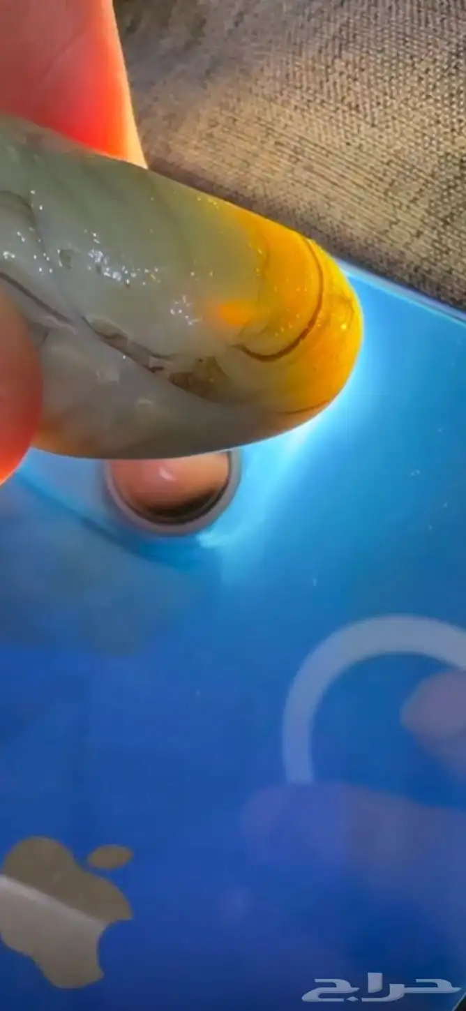 حجر كريم للبيع للمتخصصين 3