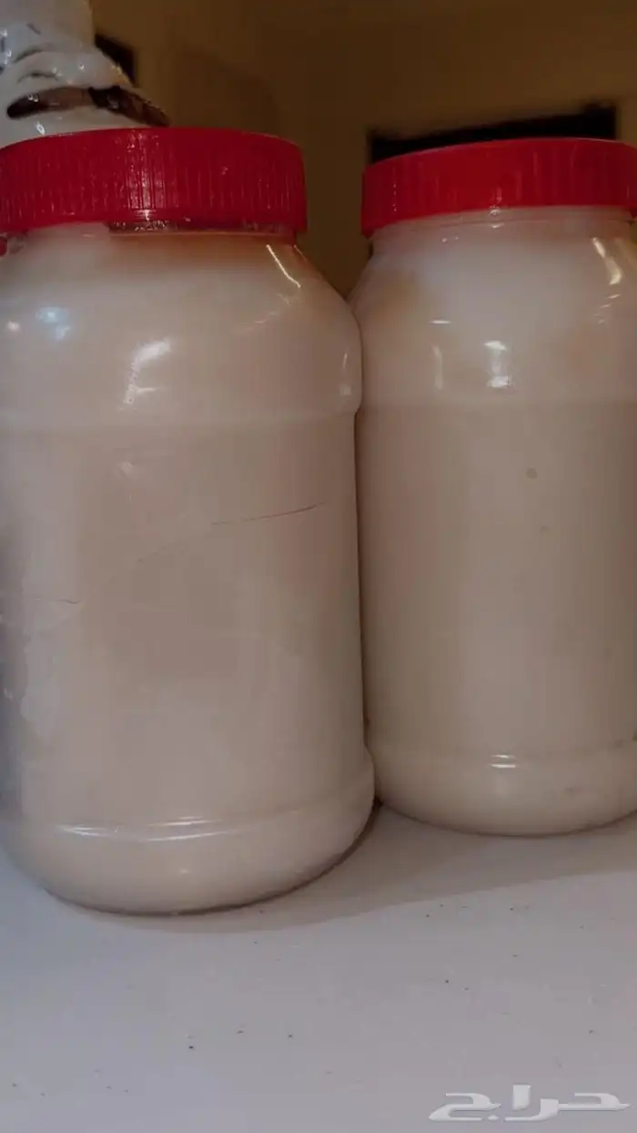 ودك للبيع علاج للظهر والركب والعظلات 0