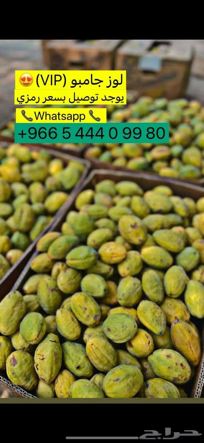 لوز   بيدام 0