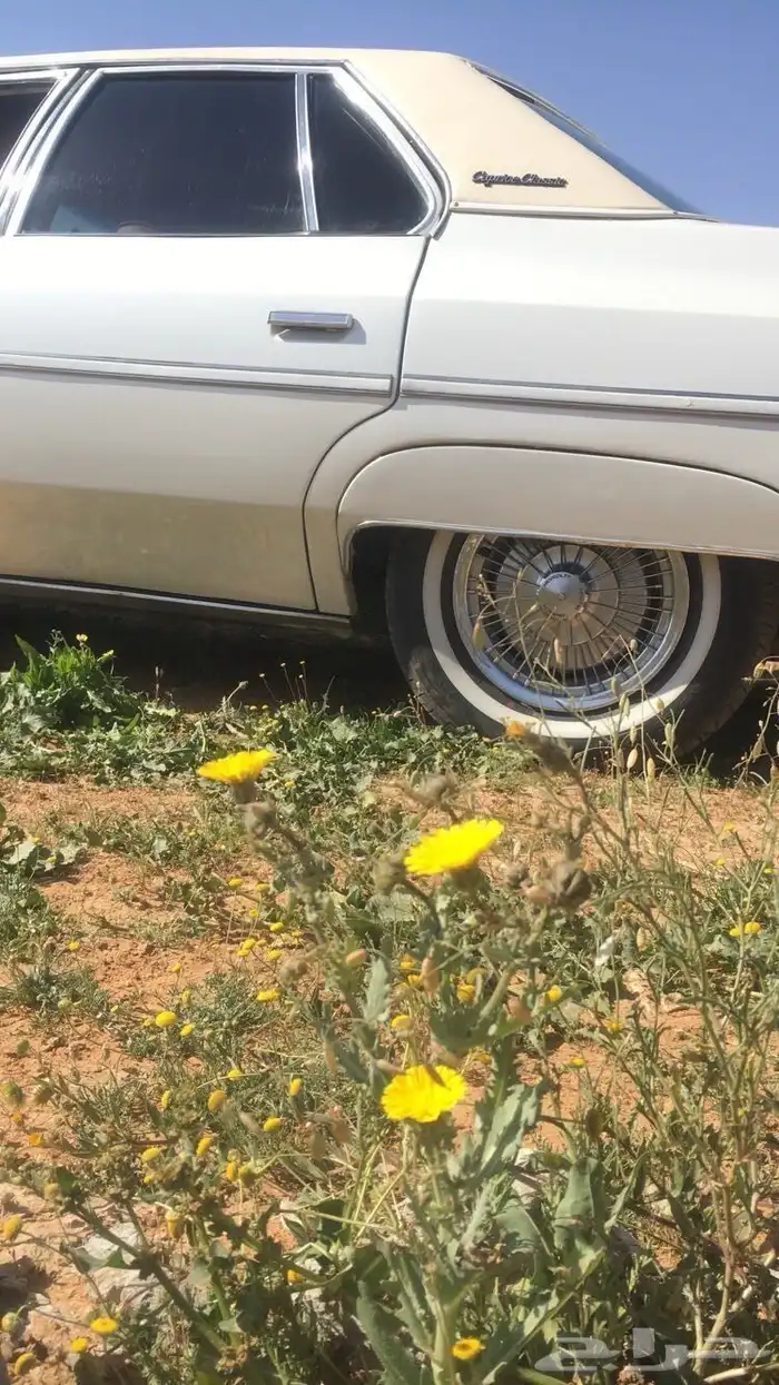 كابرس 1976 للبيع 3