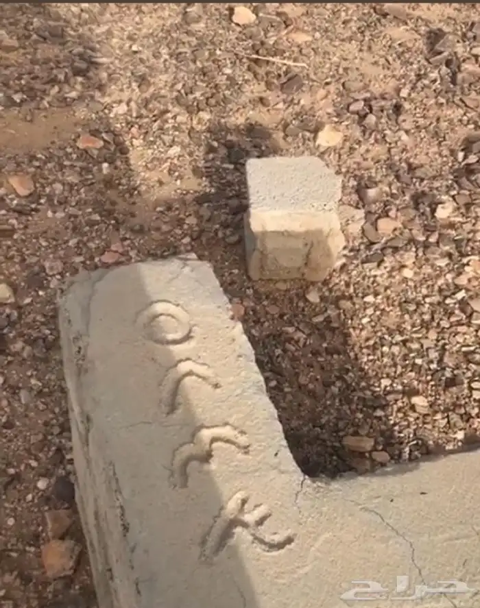 ارض في ضاحية العرفا 630م عرض للمشتري فقط 4