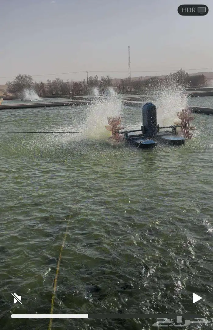 للتقبيل مزرعة استزراع سمك بلطي بالجله 0
