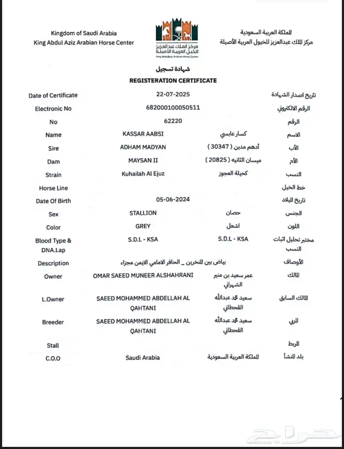 مهر عربي اصيل له مستقبل بإذن الله هيبه كرزما شخصيه قويه 19