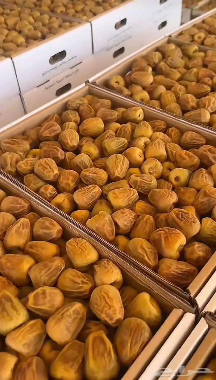 تمر سكري فاخر 3