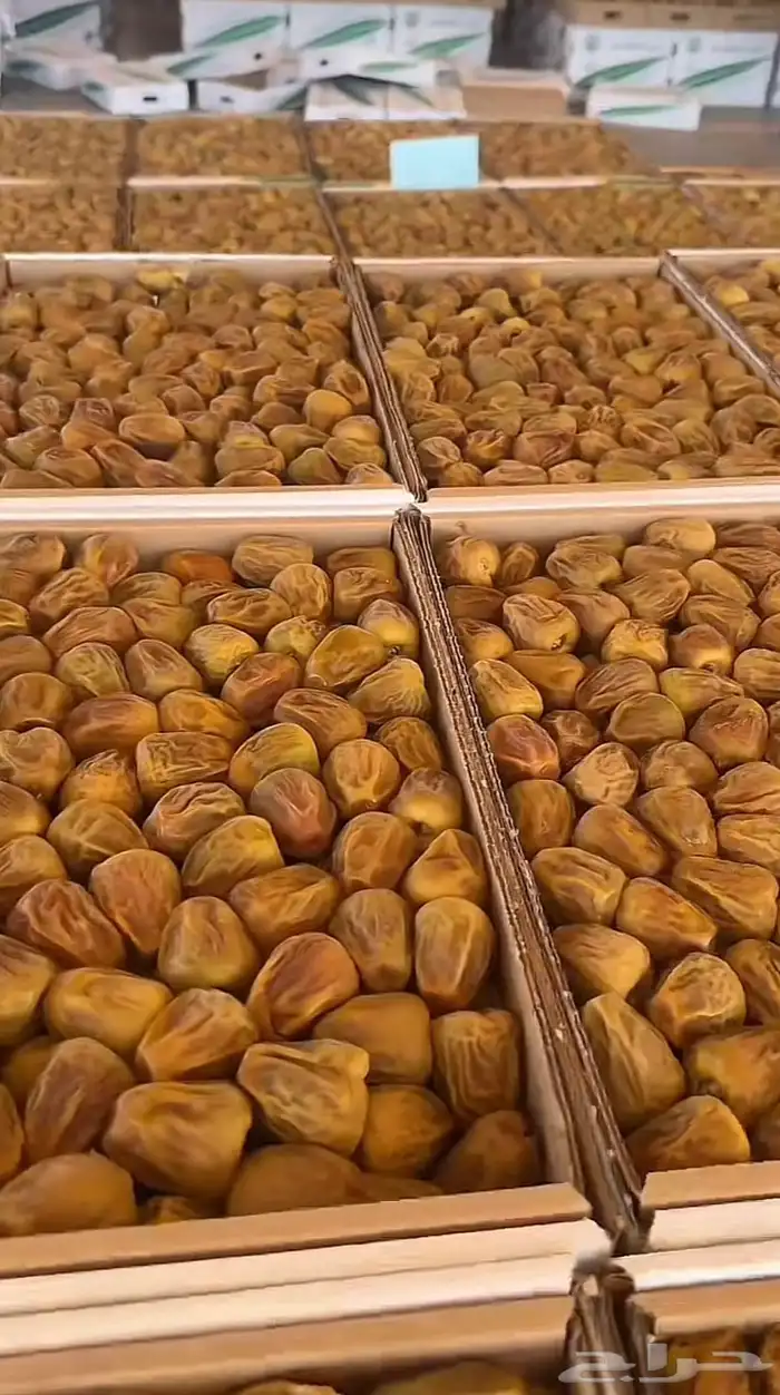 تمر سكري فاخر 2