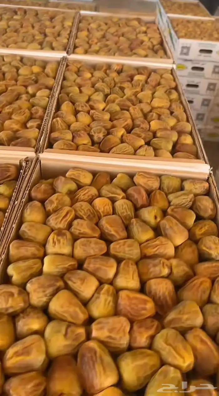 تمر سكري فاخر 0