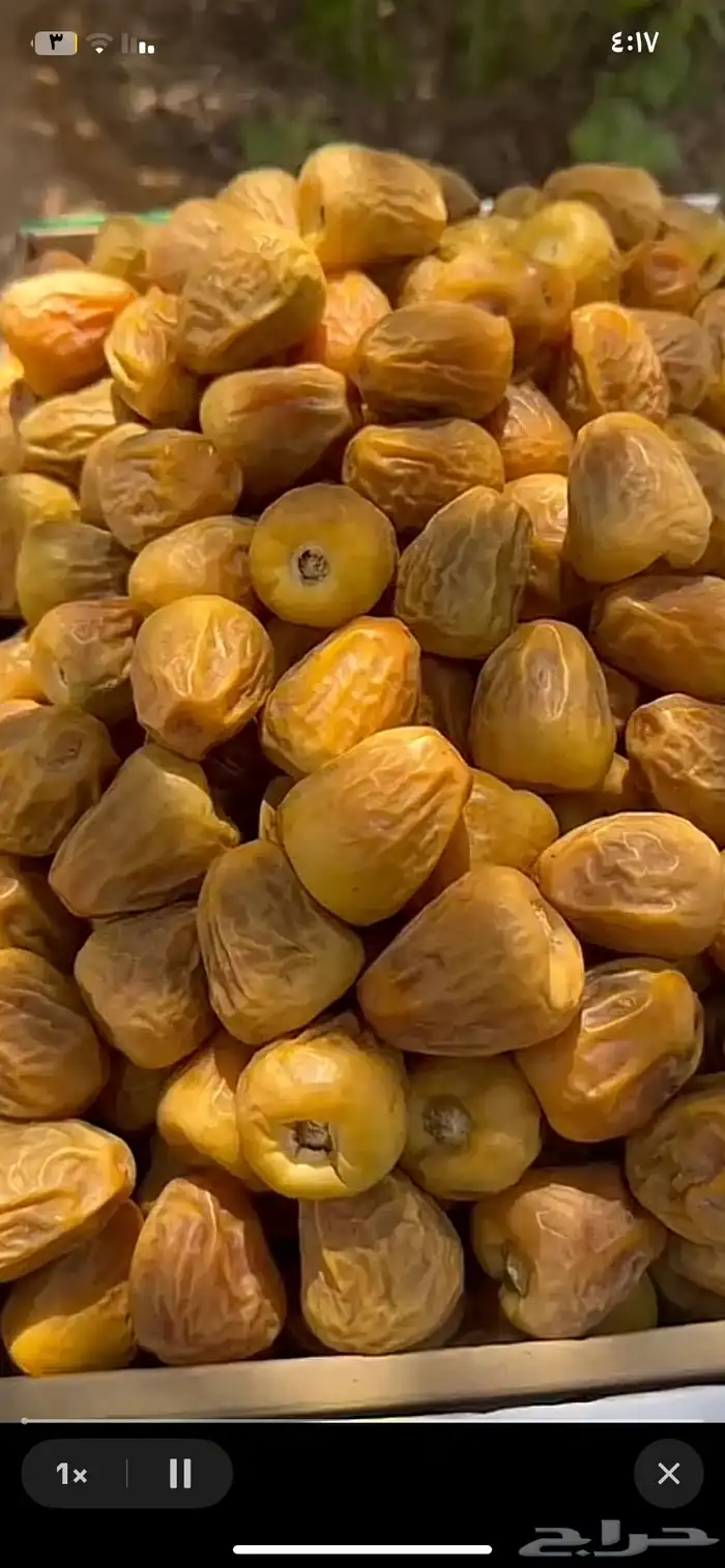 تمر سكري فاخر 5