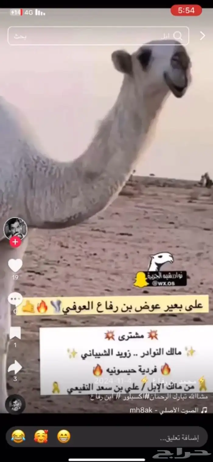 قعود باتلي حيسوني خواته فرديات امه مبيوعها ب 85الف 5