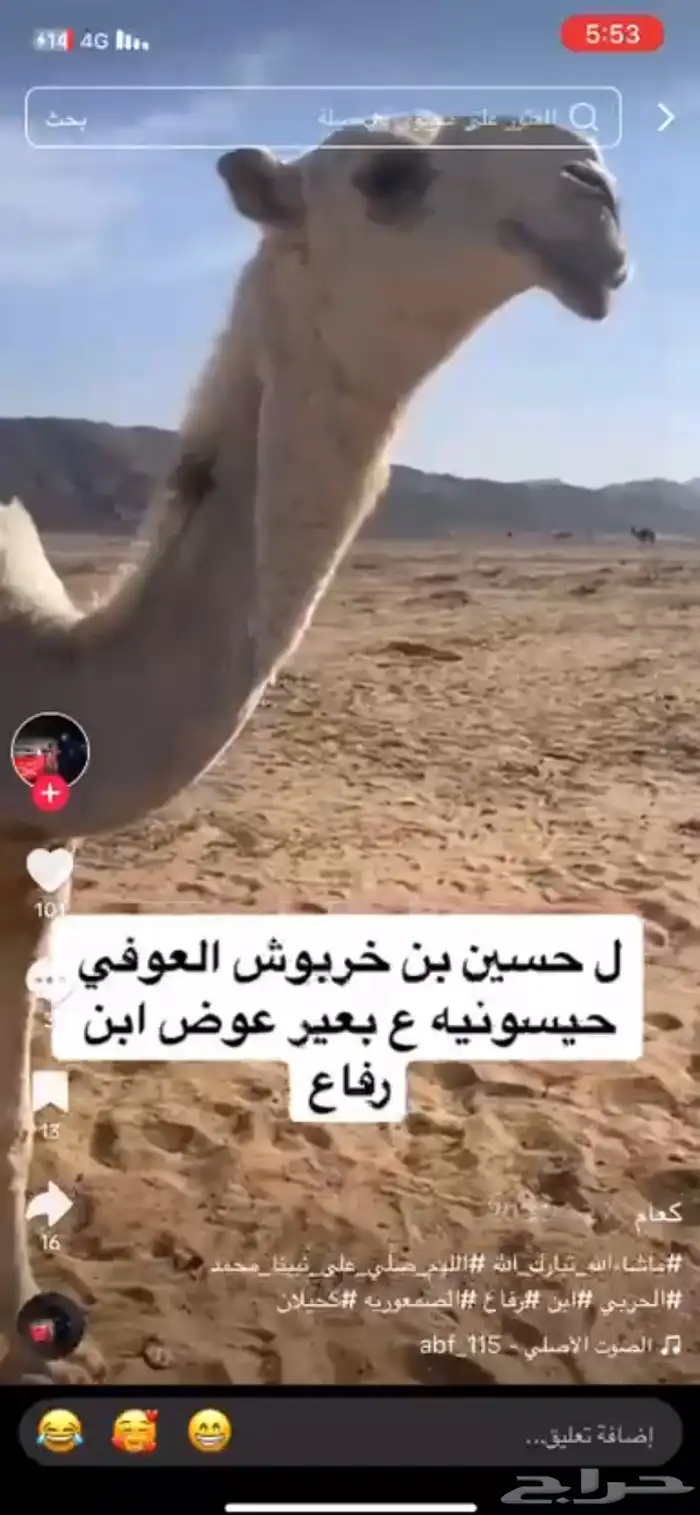 قعود باتلي حيسوني خواته فرديات امه مبيوعها ب 85الف 1