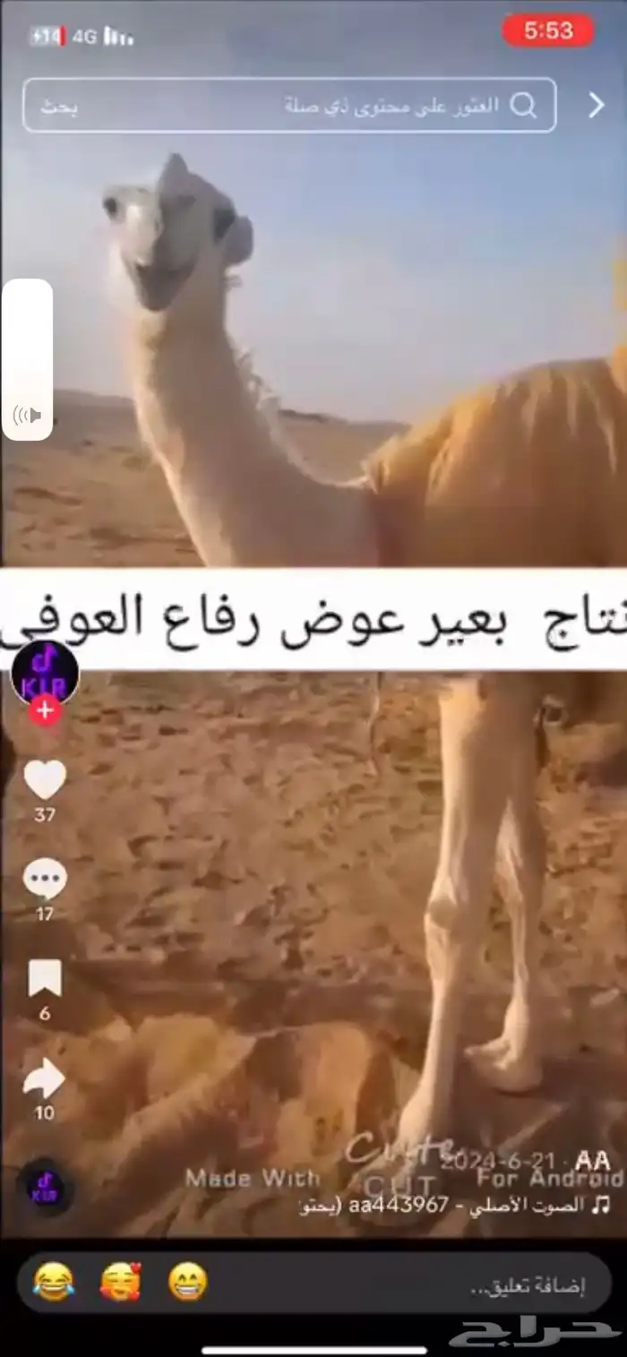 قعود باتلي حيسوني خواته فرديات امه مبيوعها ب 85الف 0