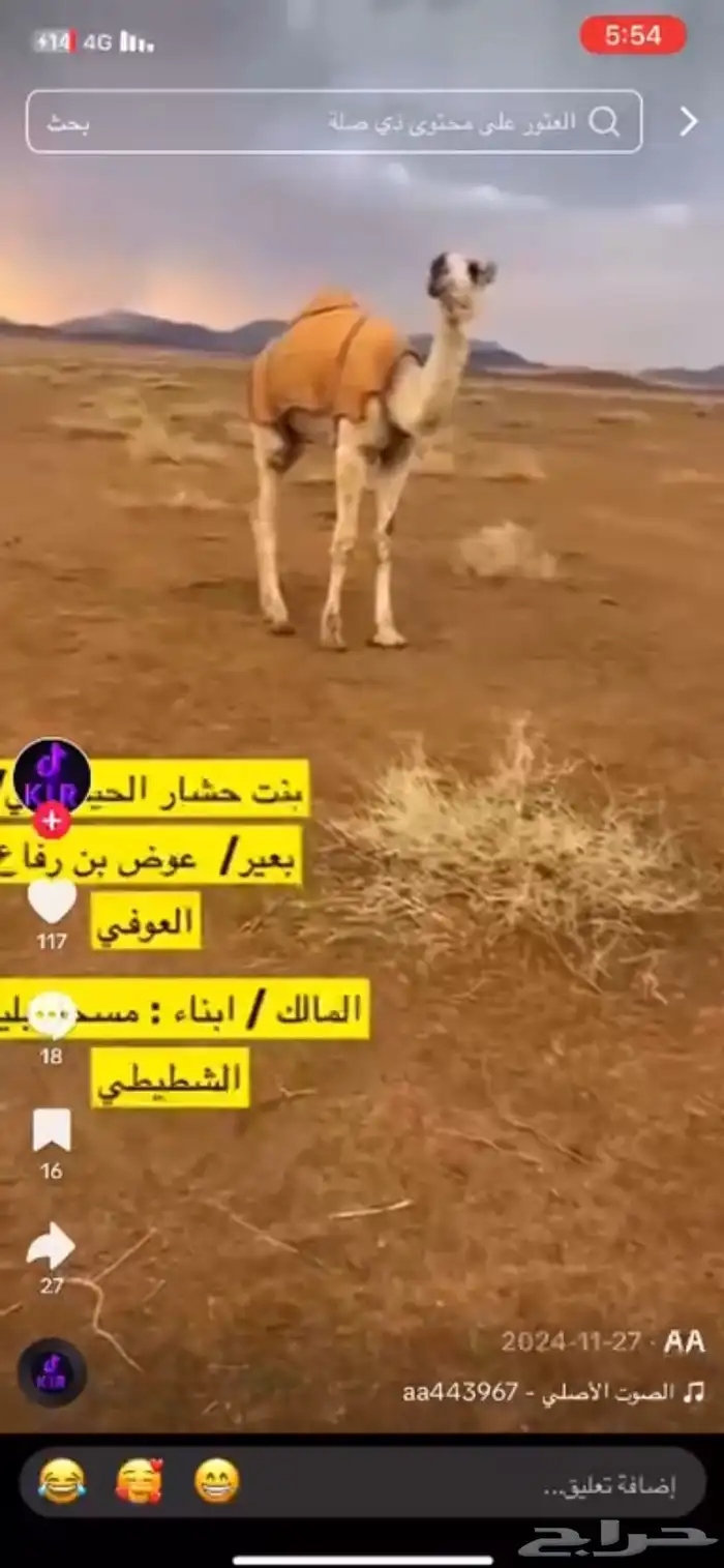 قعود باتلي حيسوني خواته فرديات امه مبيوعها ب 85الف 2