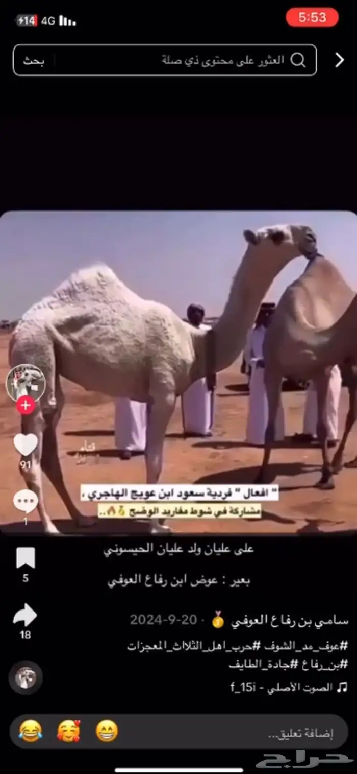 قعود باتلي حيسوني خواته فرديات امه مبيوعها ب 85الف 4