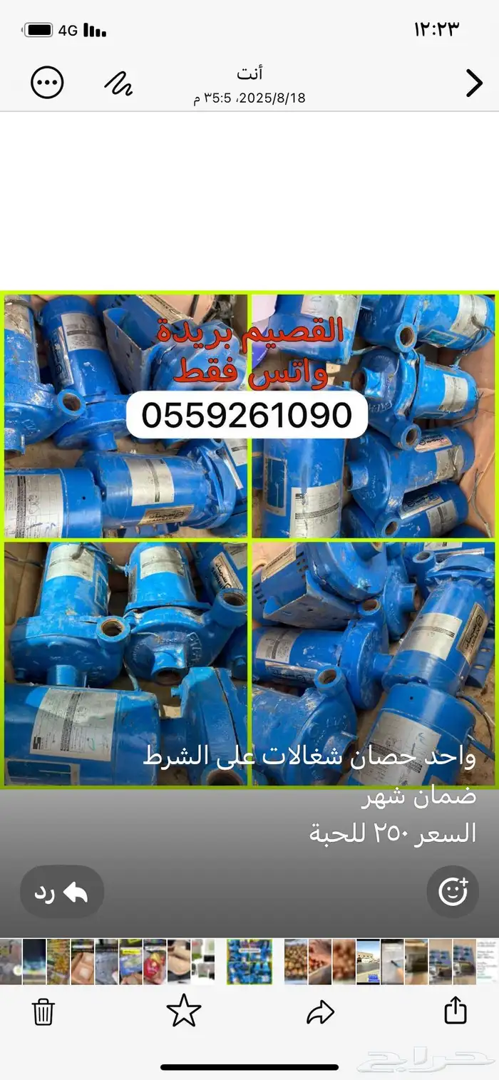 دينموات سمنان واحد حصان على الشرط 0