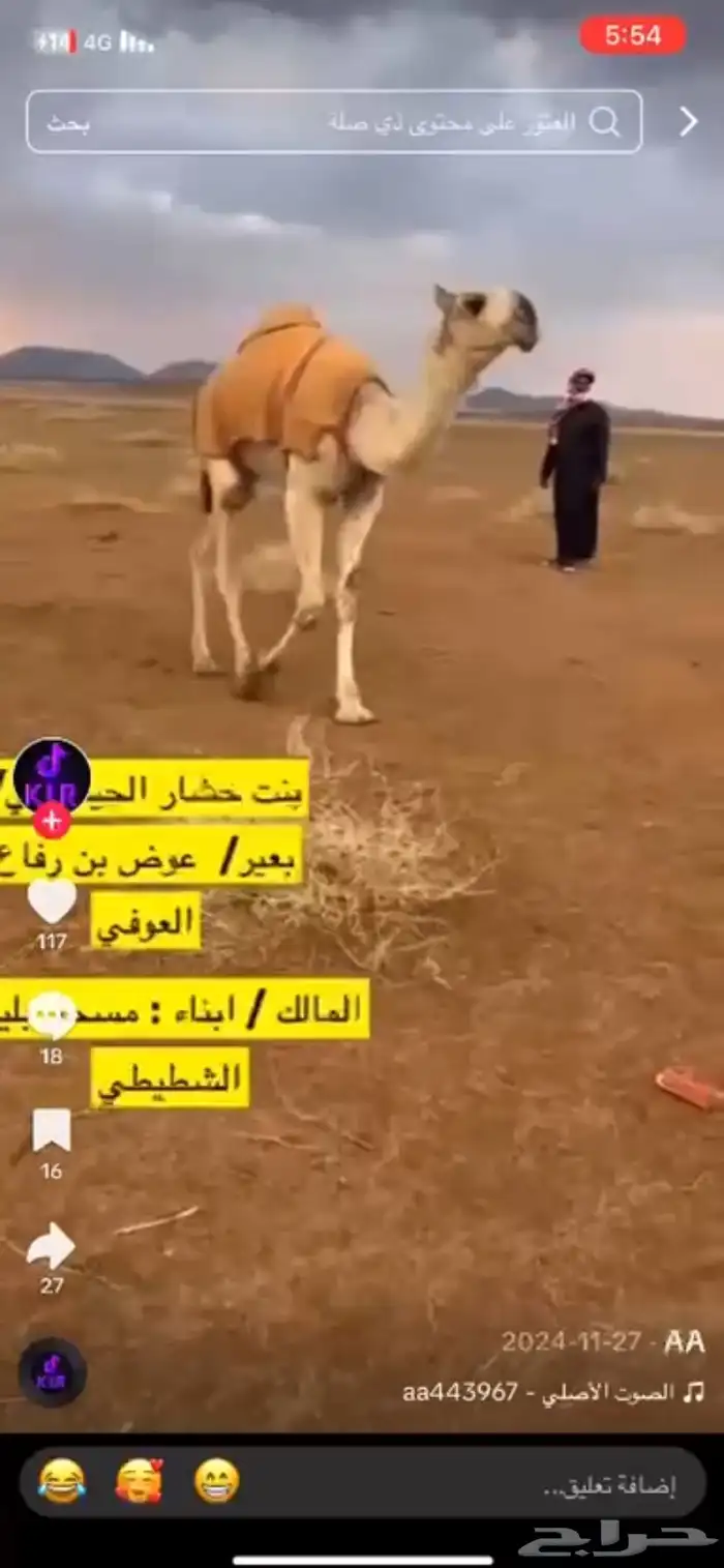 قعود باتلي حيسوني خواته فرديات امه مبيوعها ب 85الف 6