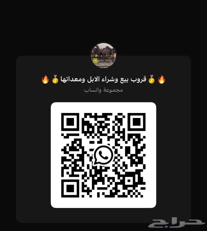 صفراء طيبه 1