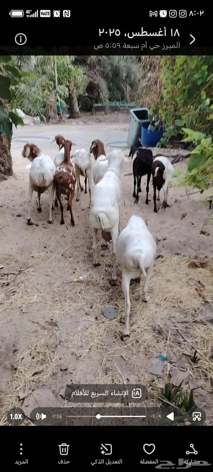 برابر 1