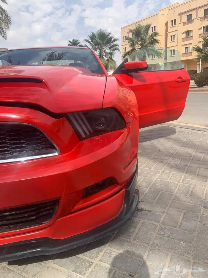 موستنج للبيع 5