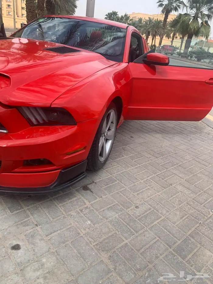 موستنج للبيع 0