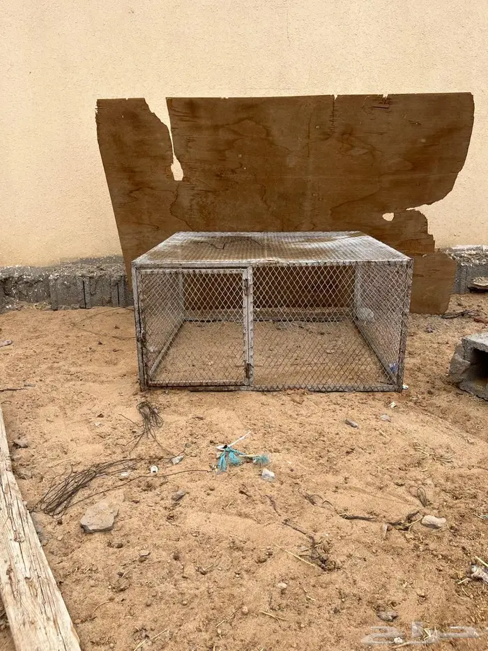 شبكين دجاج او طيور للبيع 1