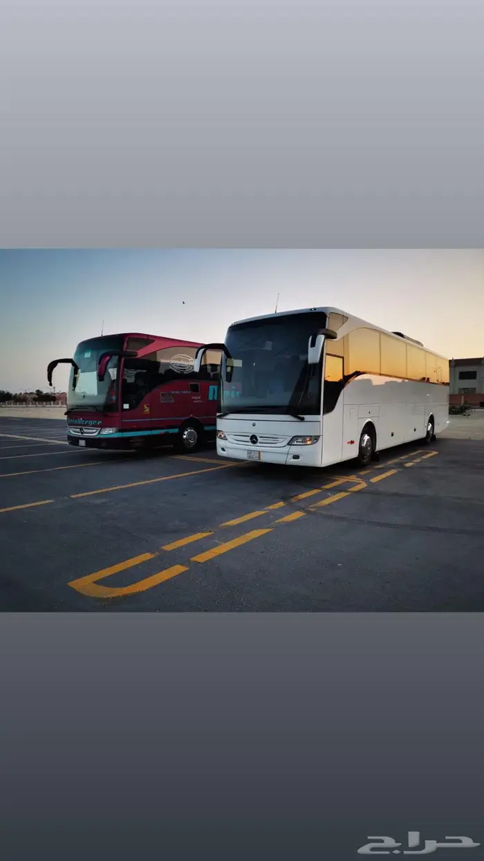 ايجار حافلات لشركات 2