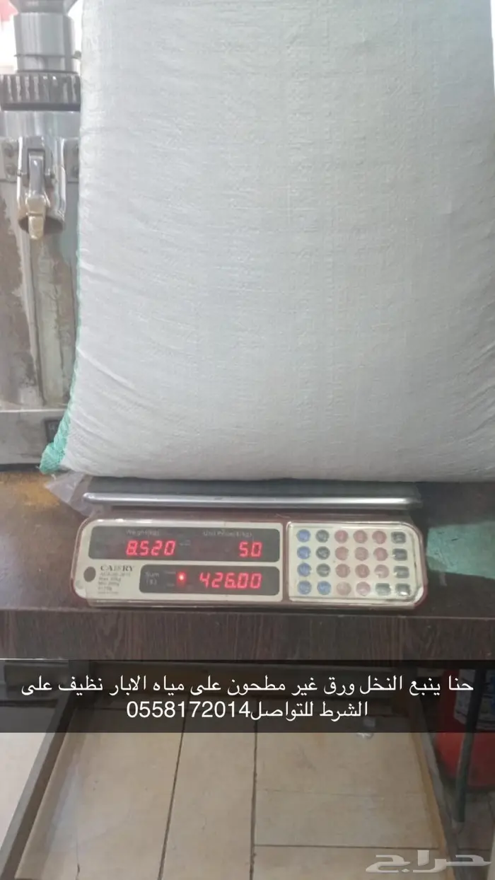 حنا ينبع النخل نظيف ع الشرط غير مطحون 0