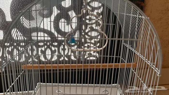 شبك مستعمل نظيف 1