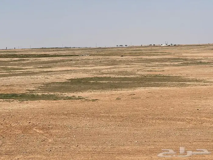 ارض زراعية للبيع بالقصيم بمركز البطين 0