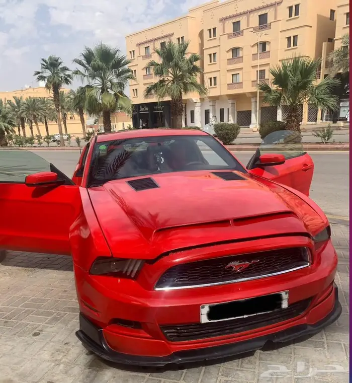 موستنج للبيع 1