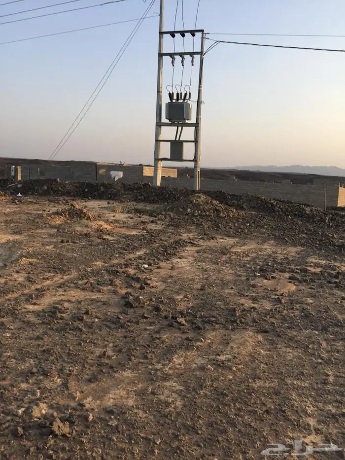 ارض زراعيه في ابيار الماشي للبيع 2