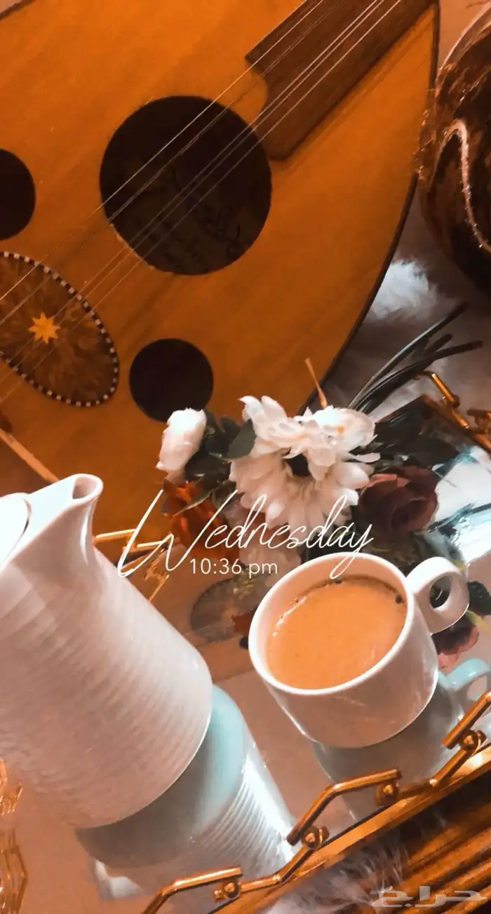 عود وطرب وتعليم 0