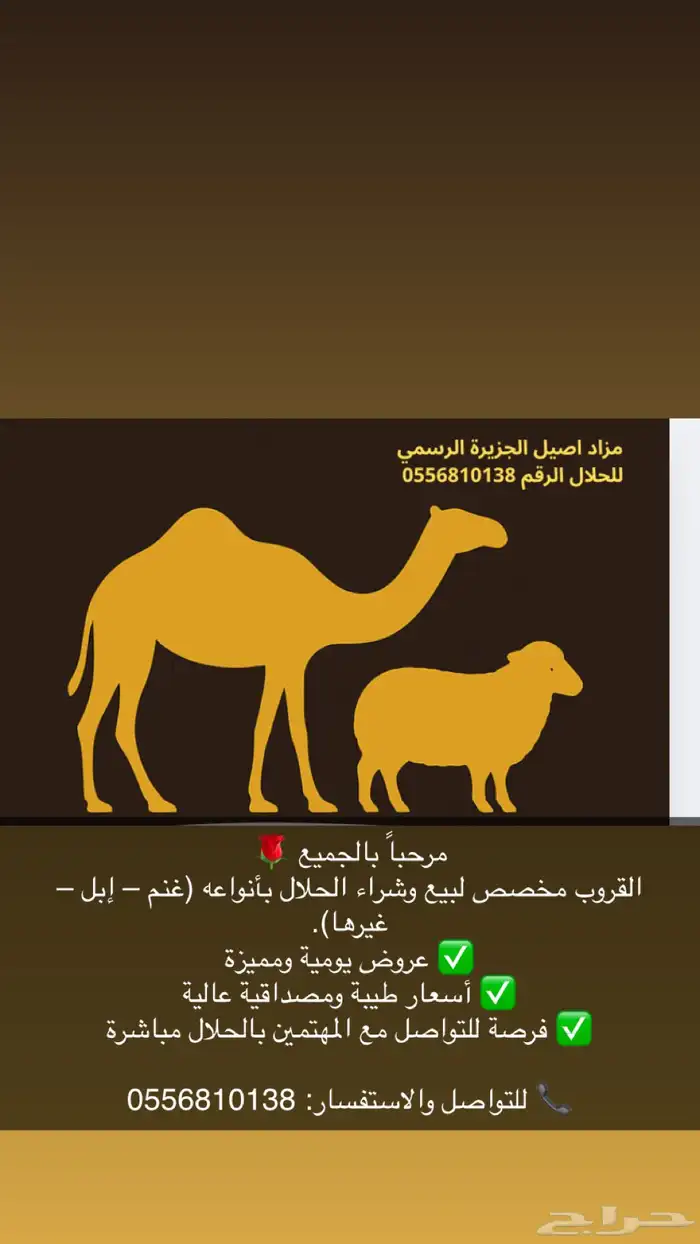 قروب مزاد أصيل الجزيرة الرسمي للحلال 0