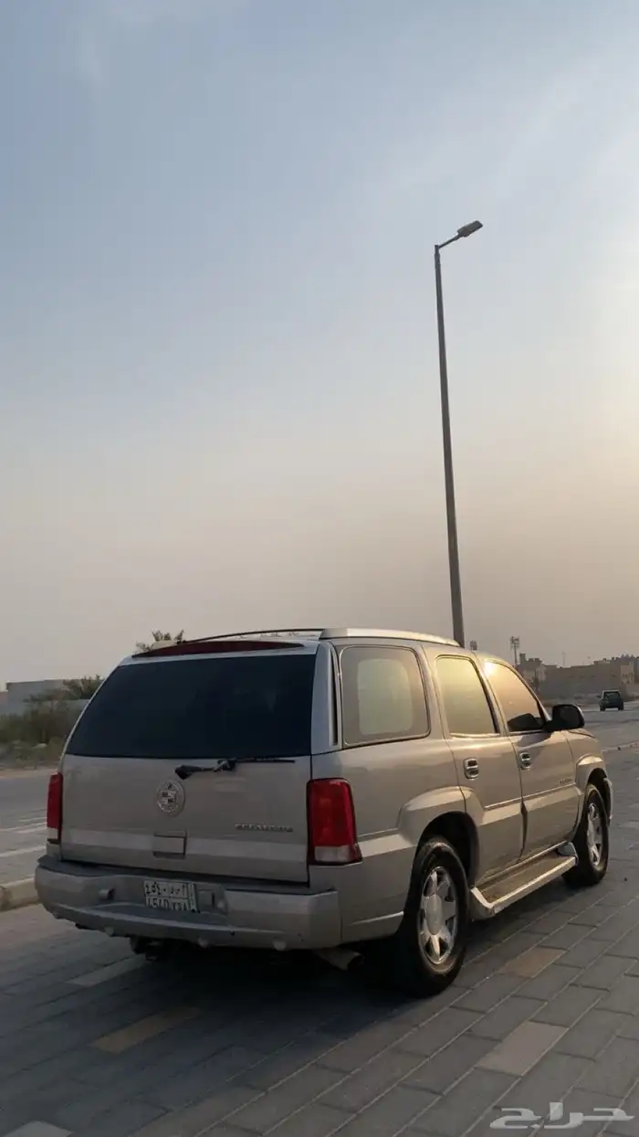 كدلك اسكلد 10