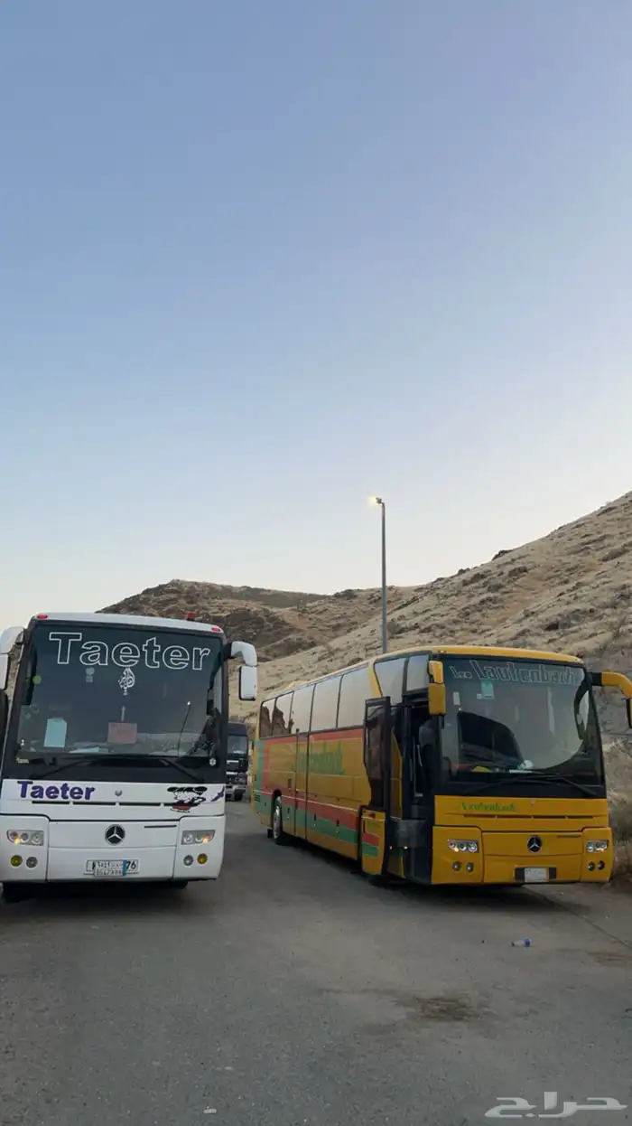 باص 50 راكب 11
