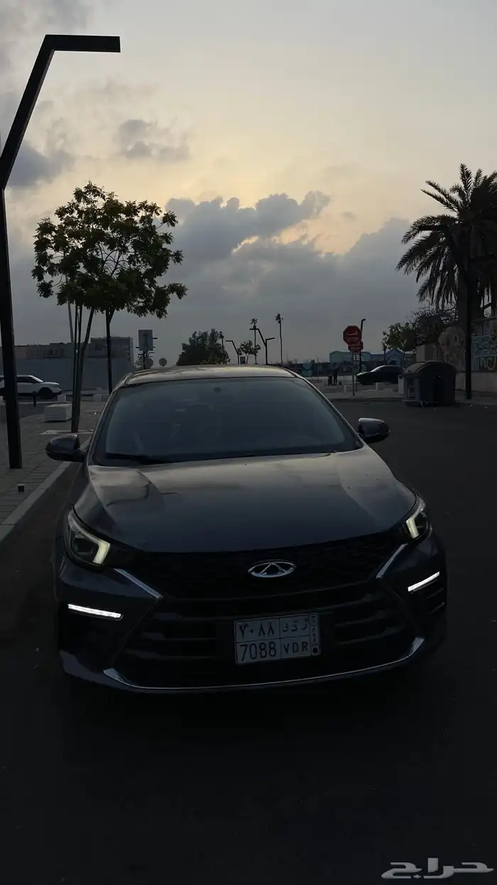 شيري اريزو 2023 12