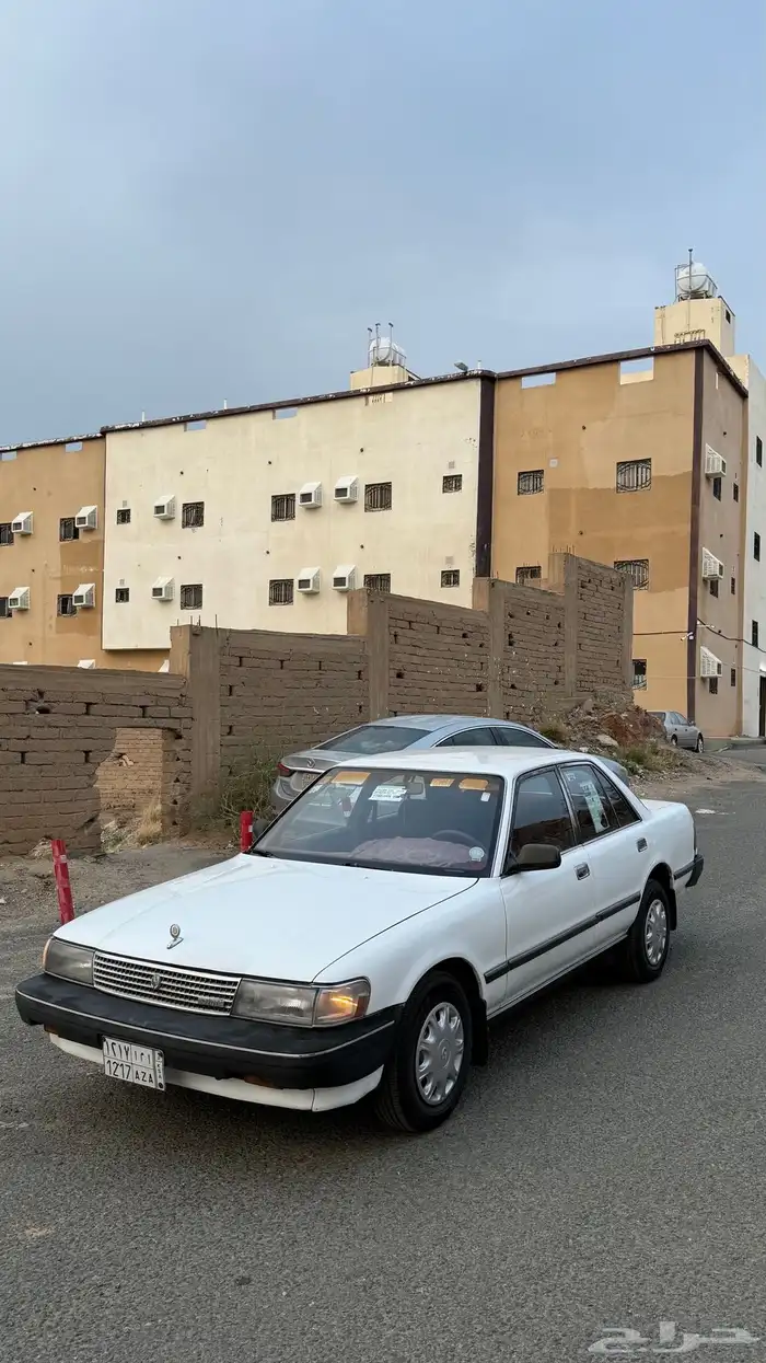 ل اهل الصنف والنظيف 3