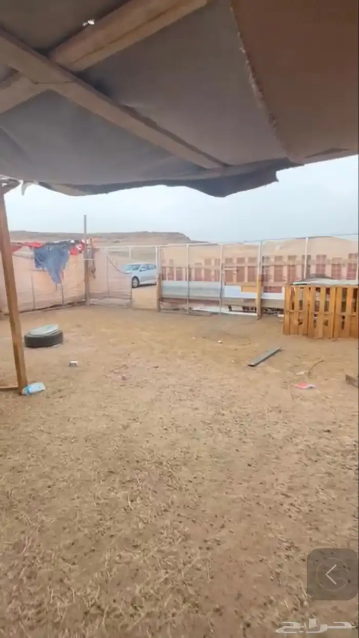 بيع 0