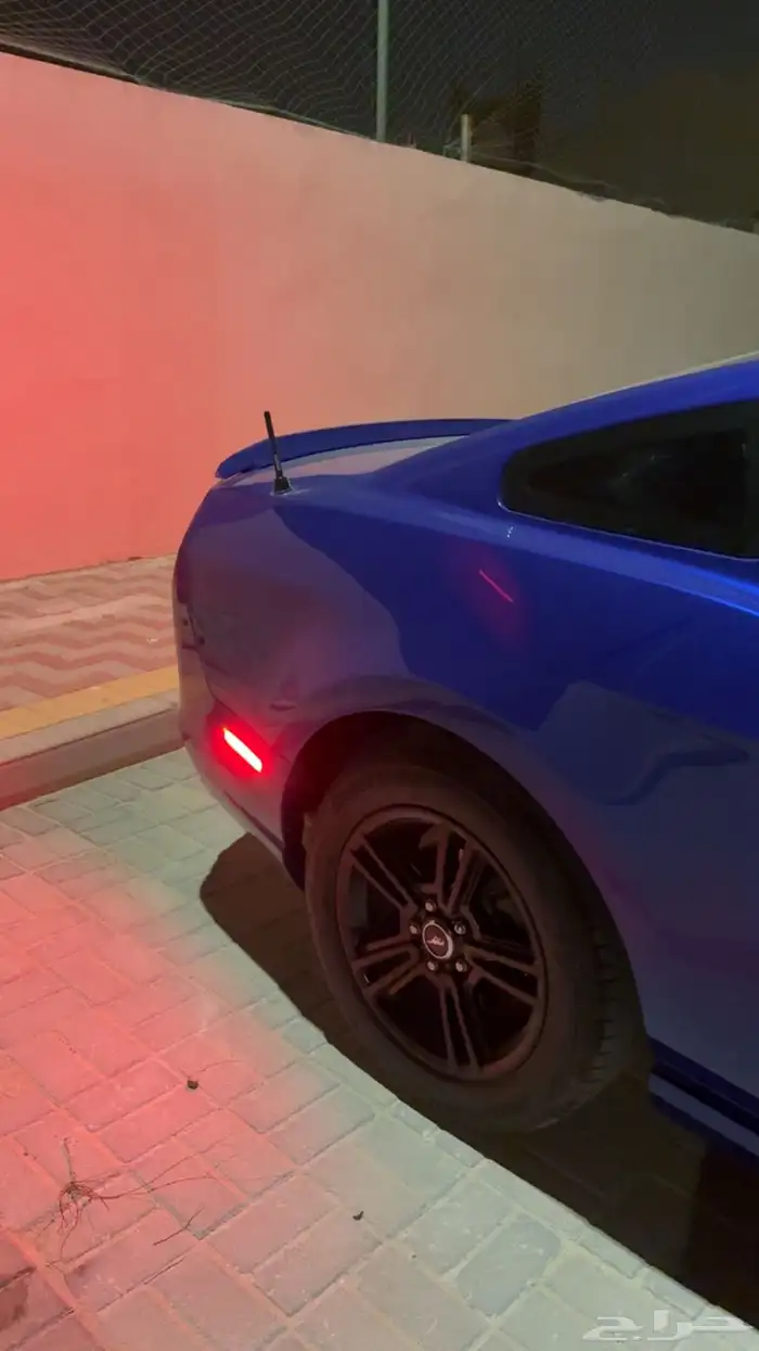 موستنج2014 11