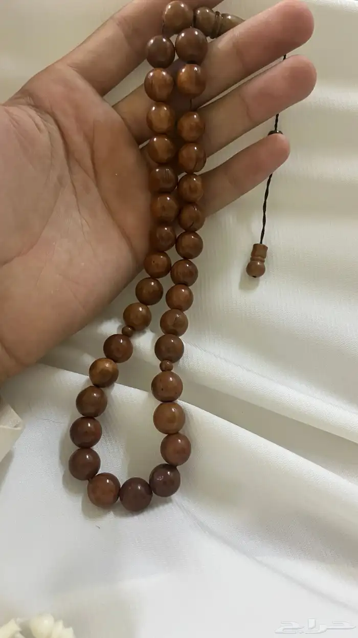مسباحين عضم ومسباح كوك 3
