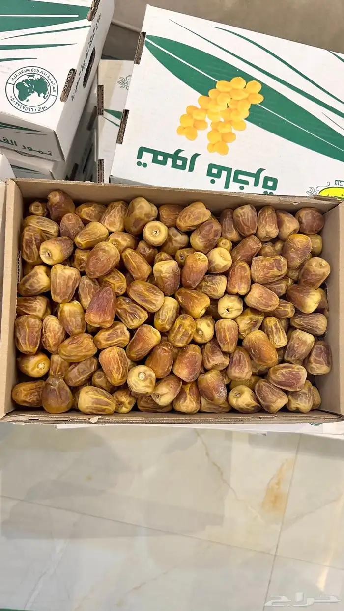 سكري مفتل 2