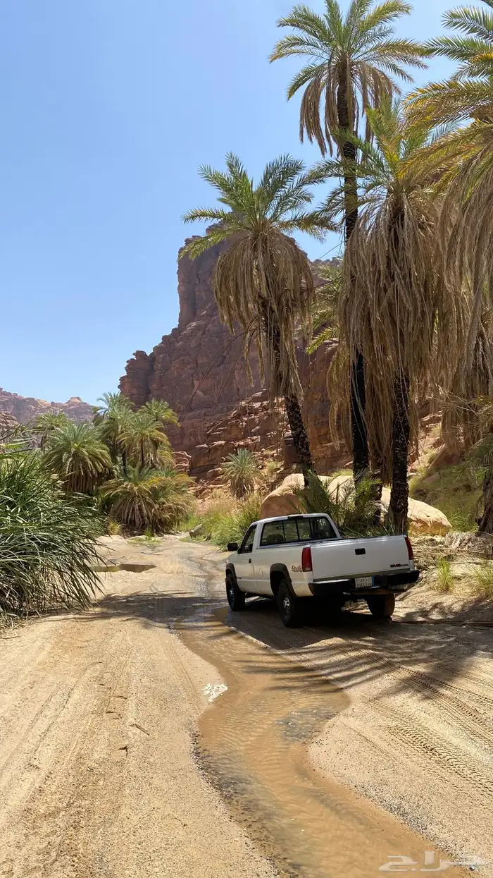جمس سييرا 1992 7