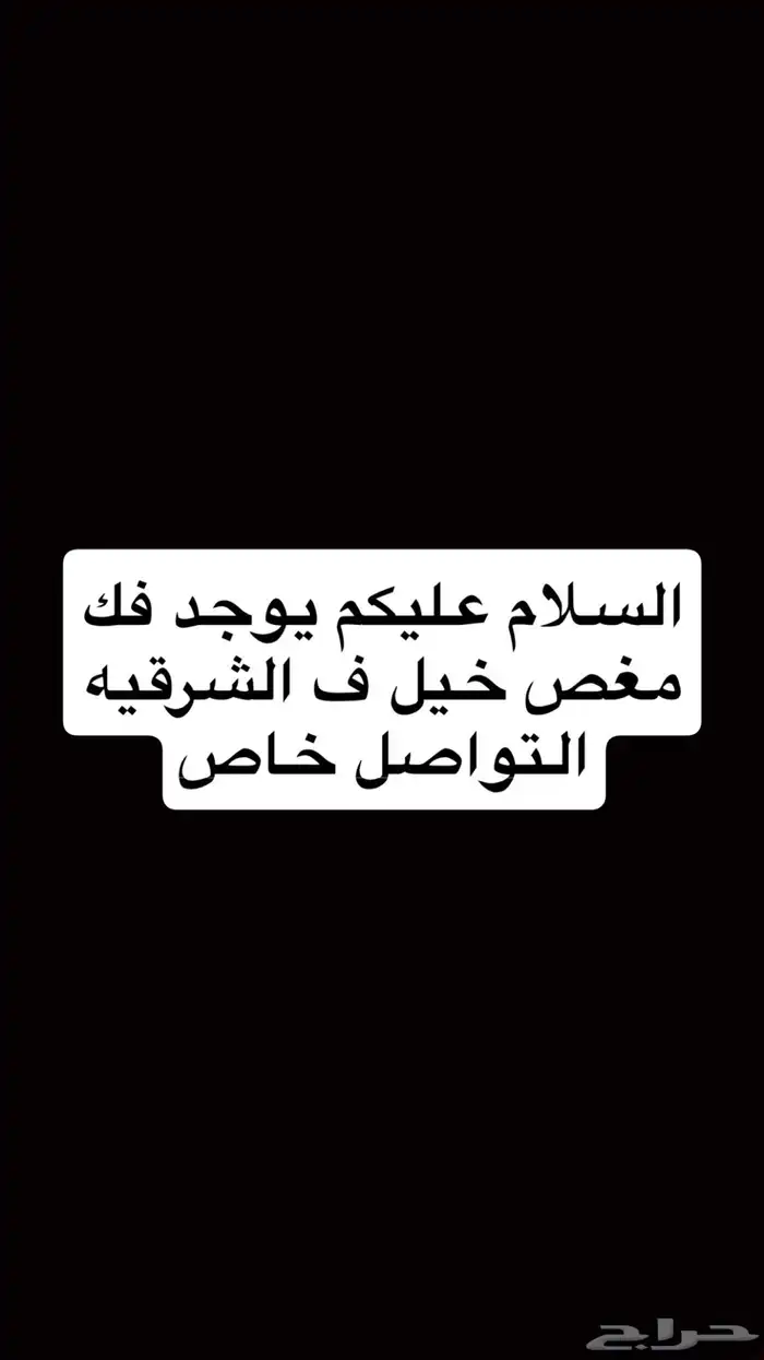 فك مغص خيل الشرقيه 0