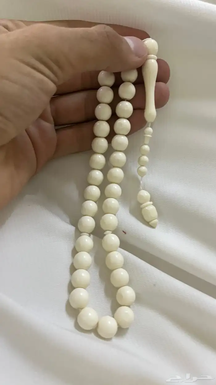 مسباحين عضم ومسباح كوك 1