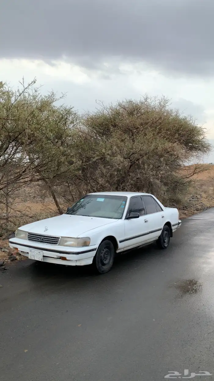 كرسيدا gI 3