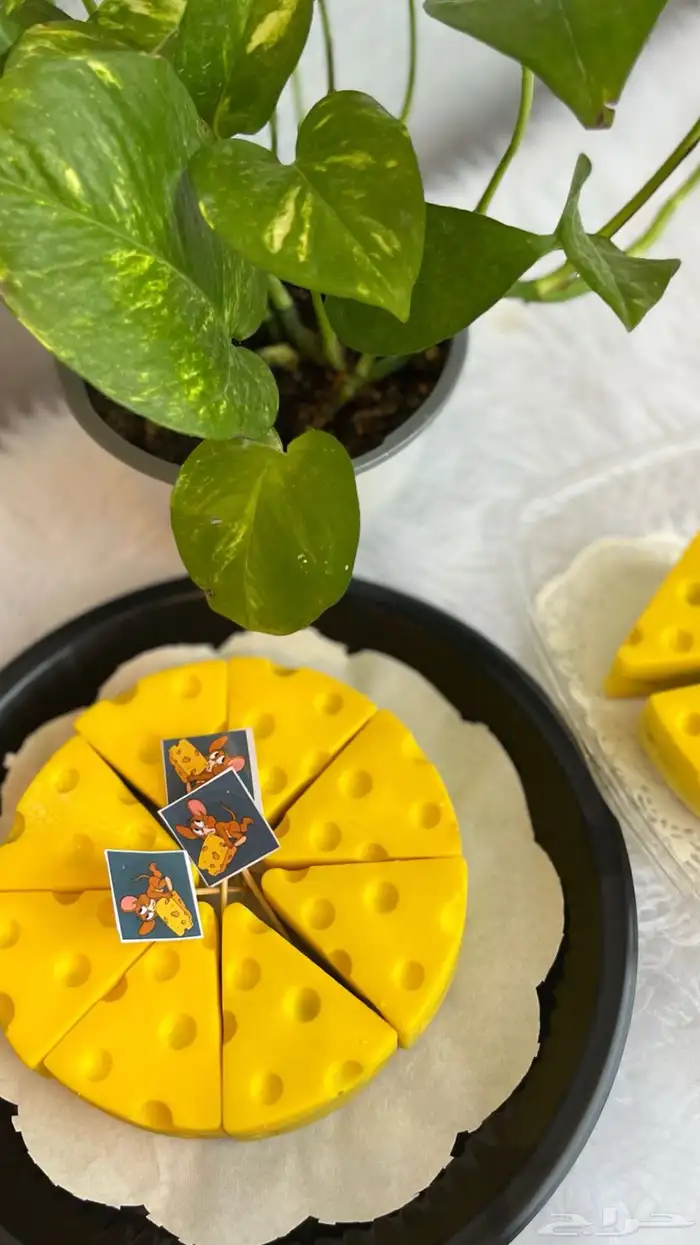 تشيز كيك جيري وتشيز كيك عادي من الذ التشيزات 2